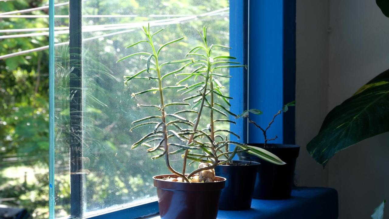 Casa De Praia Armacao dos Buzios Ngoại thất bức ảnh